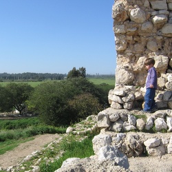 Yarkon Springs, 20-Feb-2010