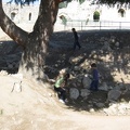 Yarkon Springs 035