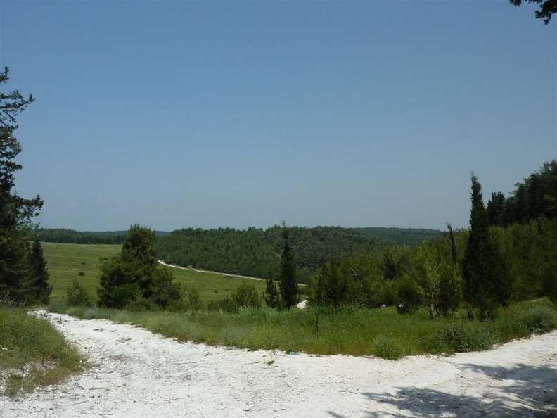 P1030098