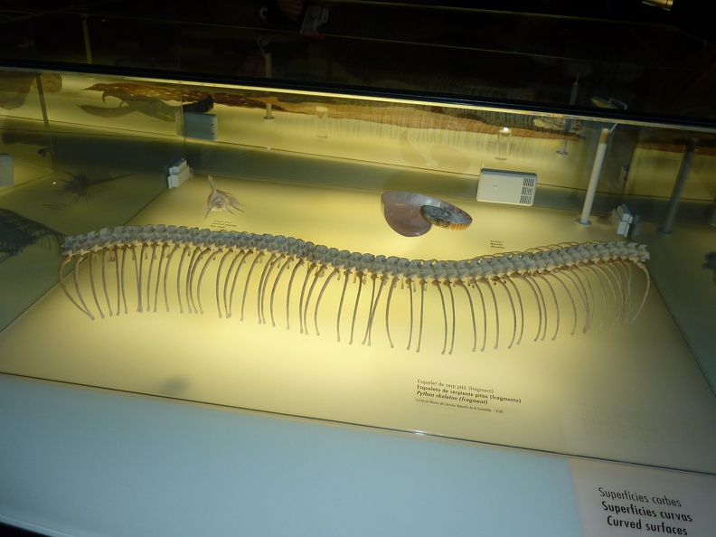 P1050766