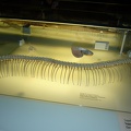P1050766