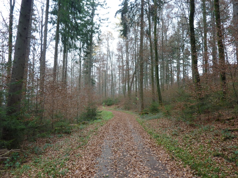 P1060875