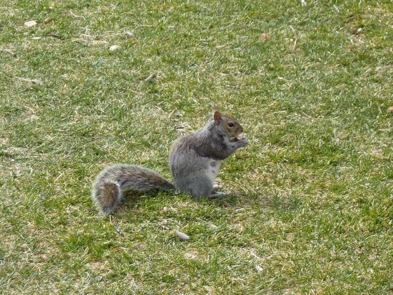 P1070819