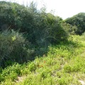 P1070500