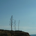 P1070545