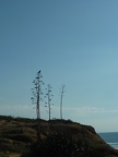 P1070545
