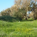 P1070556
