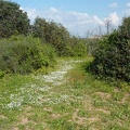 P1070507