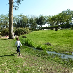 Yarkon Springs, 26-Mar-2011