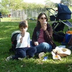 Year 2011