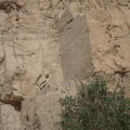 DSCN3856