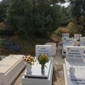 DSC00339_1_.jpg