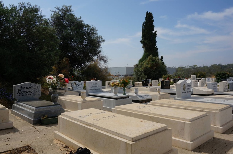 DSC00338_1_.jpg