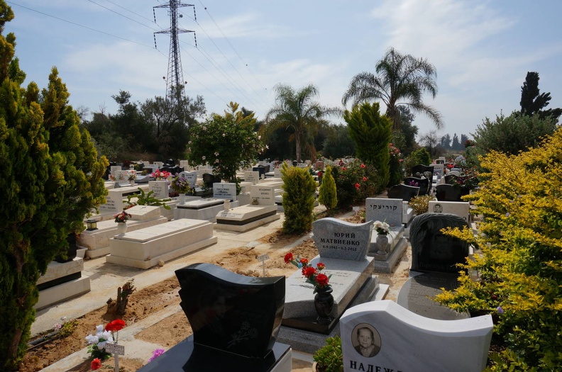 DSC00340_1_.jpg