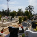 DSC00340_1_.jpg