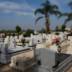 Givat Brener 2013