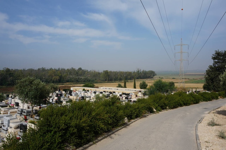 DSC00334_1_.jpg