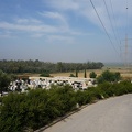 DSC00334_1_.jpg