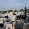 DSC00331_1_.jpg