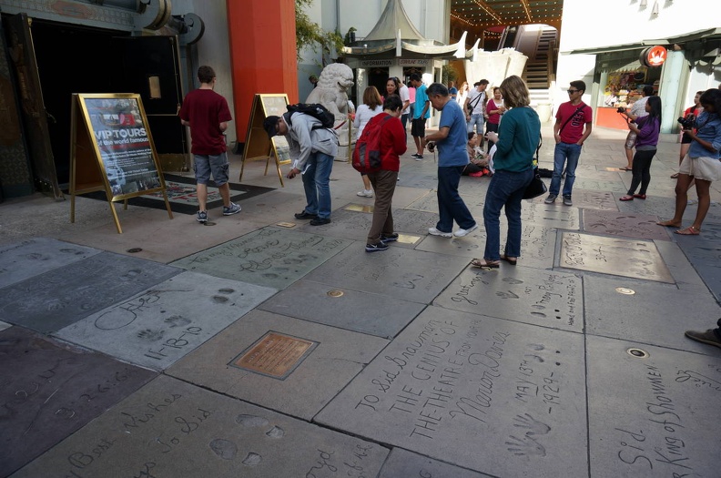 DSC00029_1_.jpg