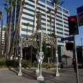 DSC00041_1_.jpg
