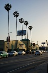 DSC00056_1_.jpg