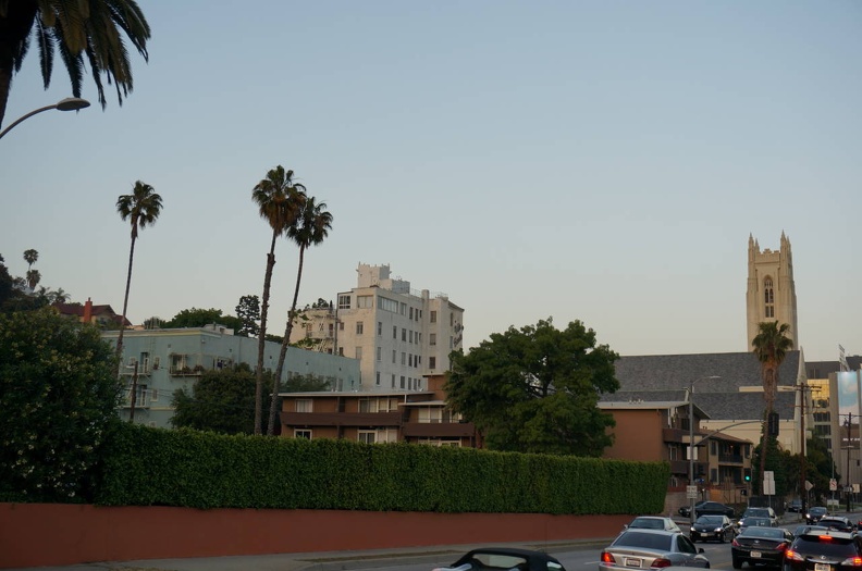 DSC00063_1_.jpg