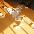 DSC01326_1_.jpg