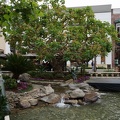 DSC00146_1_.jpg