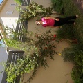 DSC03720