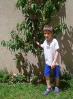 Image003a