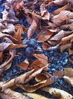 2012-10-25 12.24.37