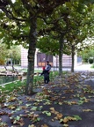 2012-10-30 12.52.21