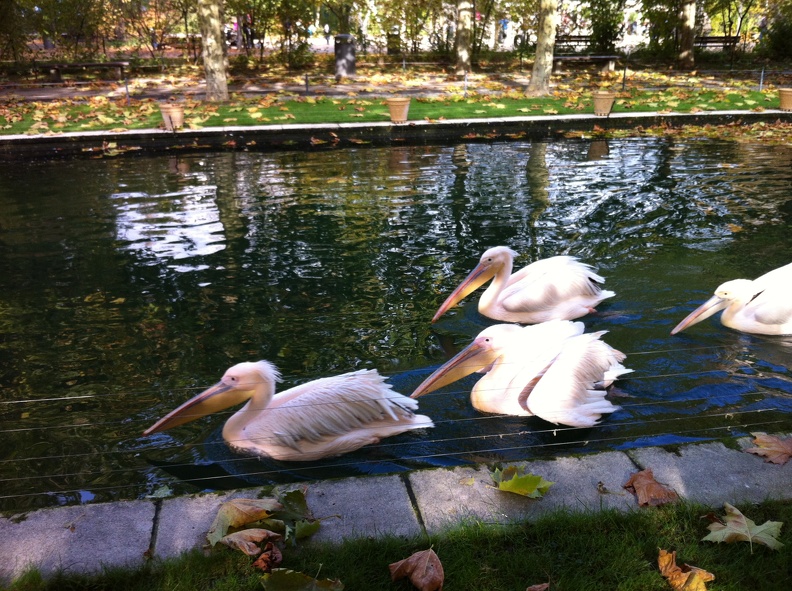 2012-10-30 13.48.31