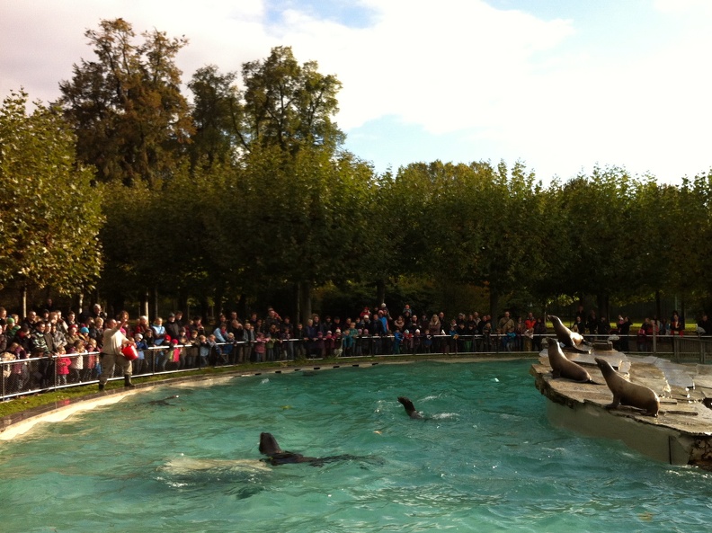 2012-10-30 15.08.52
