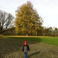 2012-11-01 12.03.57