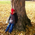 2012-11-01 12.08.12