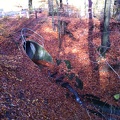 2012-11-01 13.34.36