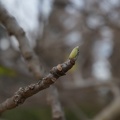 DSC04683
