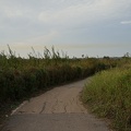DSC04690