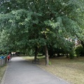 DSC01489