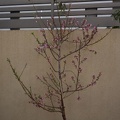 DSC04751
