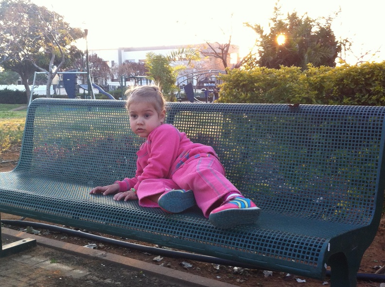 IMG 0026