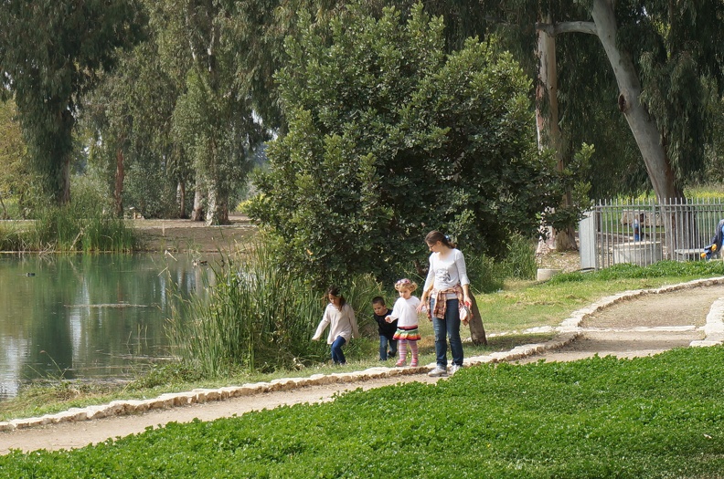 DSC04766