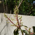 DSC04808
