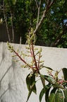 DSC04808