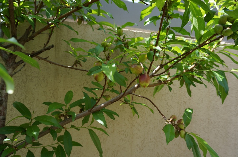 DSC04814