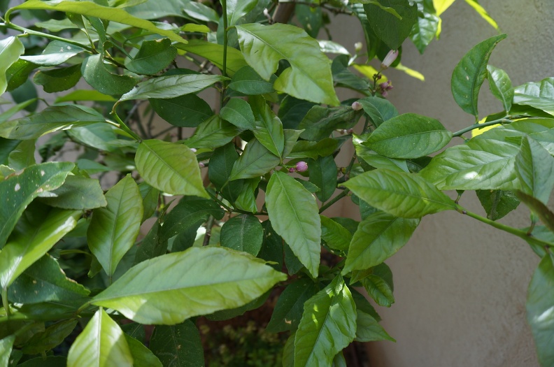 DSC04819