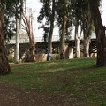 DSC04827