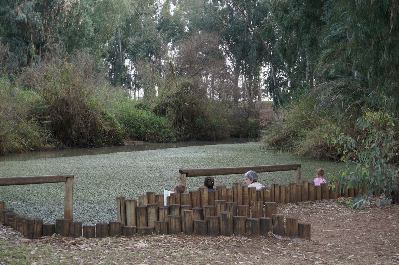 DSC04847